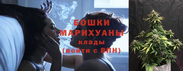 сатива Лабытнанги