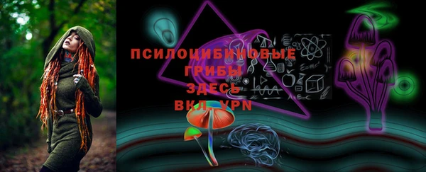 первитин Ладушкин
