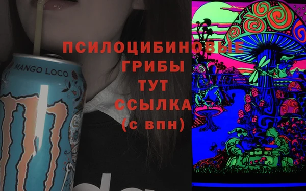 сатива Лабытнанги