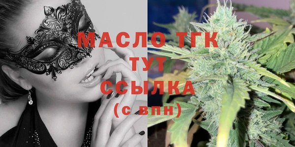 сатива Лабытнанги