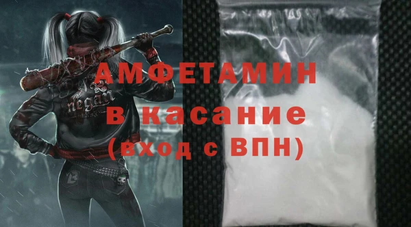 сатива Лабытнанги